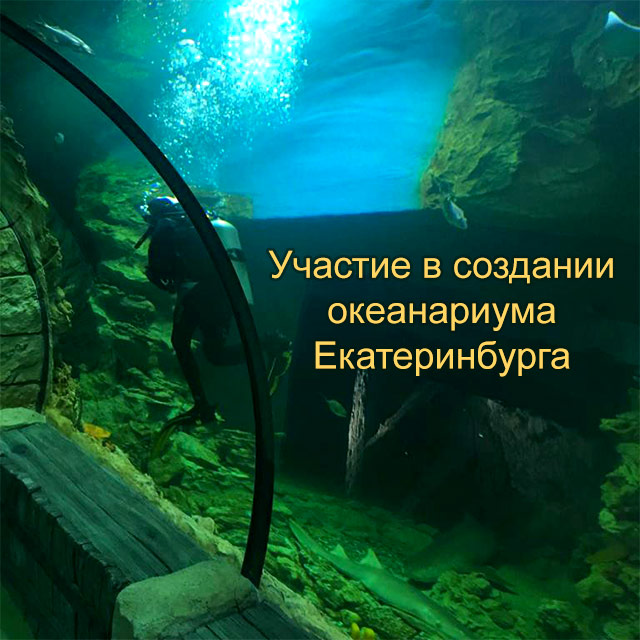 Наша компания участвовала в создании океанариума в Екатеринбурге