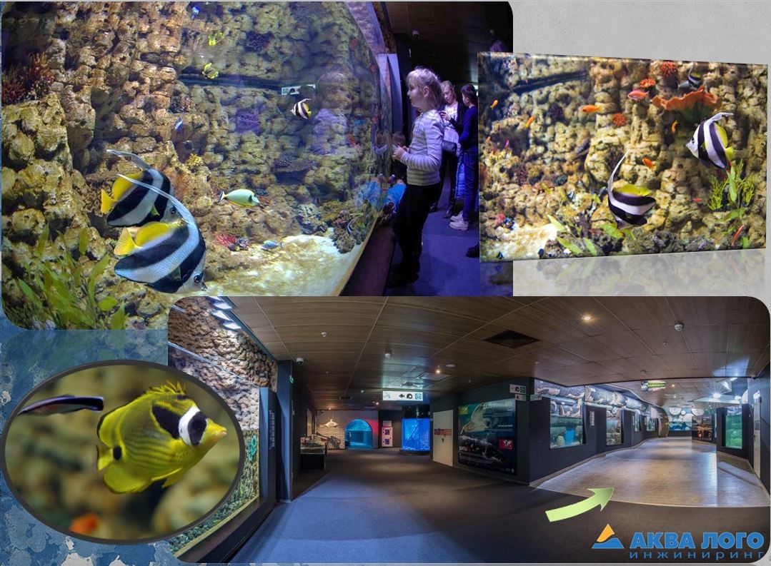 An aquarium in the “Coral reef” zone contains 15200 liters of sea water 