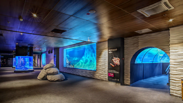 The aquarium with the longest tunnel (61.5 m) in Eastern Europe is located in the Aquatika Oceanarium