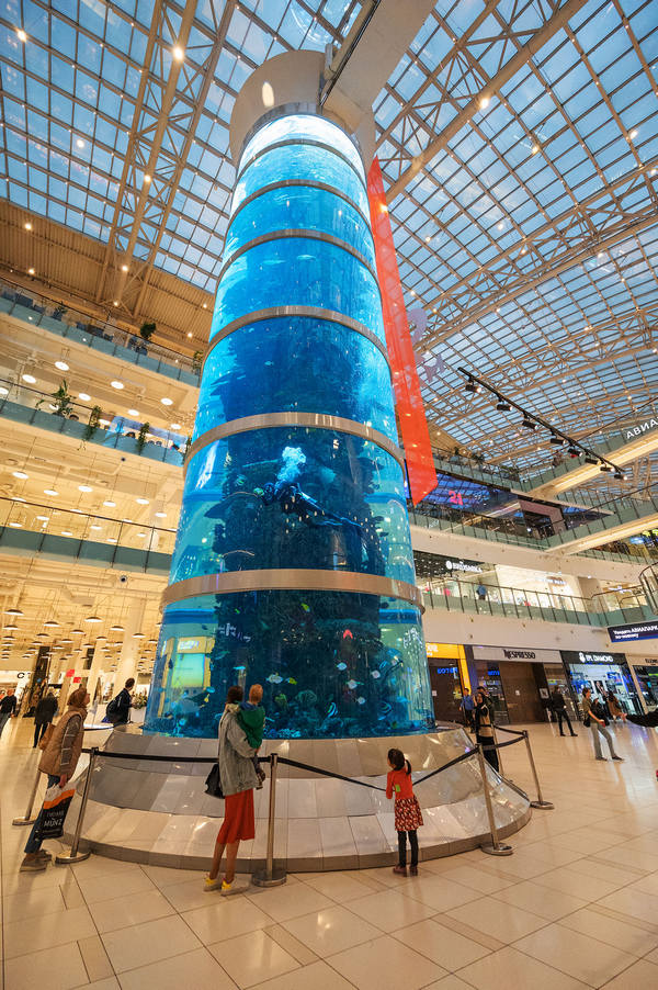 Aquarium in Aviapark shopping mall