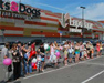 Открылся самый большой зоомаркет Cats&Dogs в Москве в ТРЦ «Европарк»