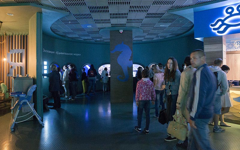 Экспозиция «Удивительное море», аквариумы 44 - 51