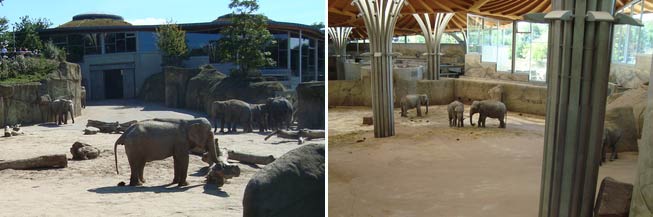 Кёльнский зоопарк (K&ouml;lner Zoo)