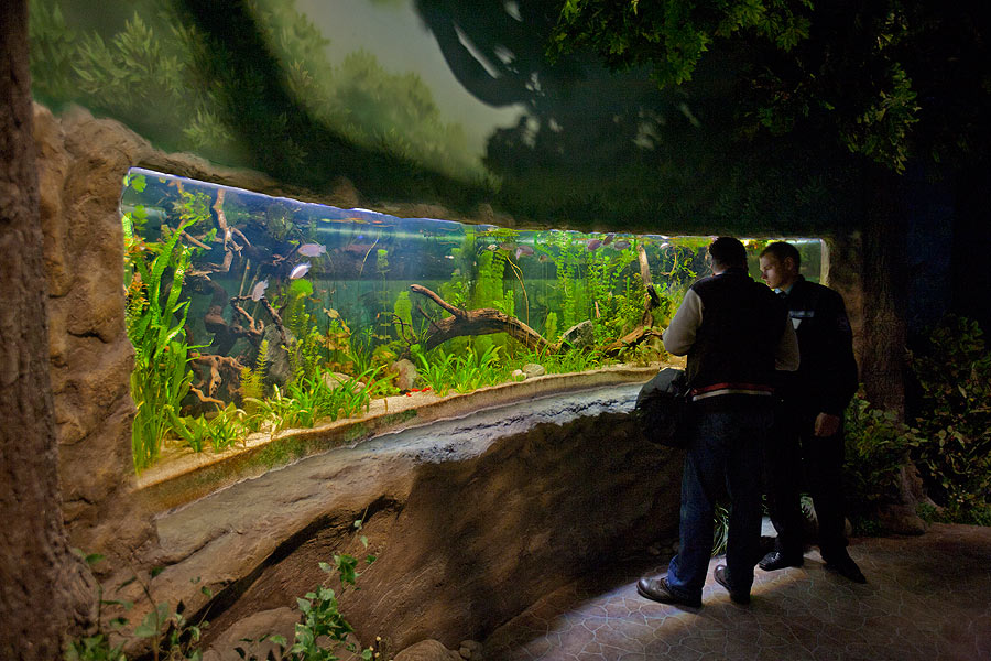 Пресноводный аквариум в экспозиции "Леса и степи"