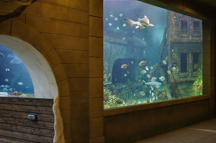 Большое окно и туннель главного океанического аквариума в экспозиции "&laquo;Моря и океаны&raquo;"