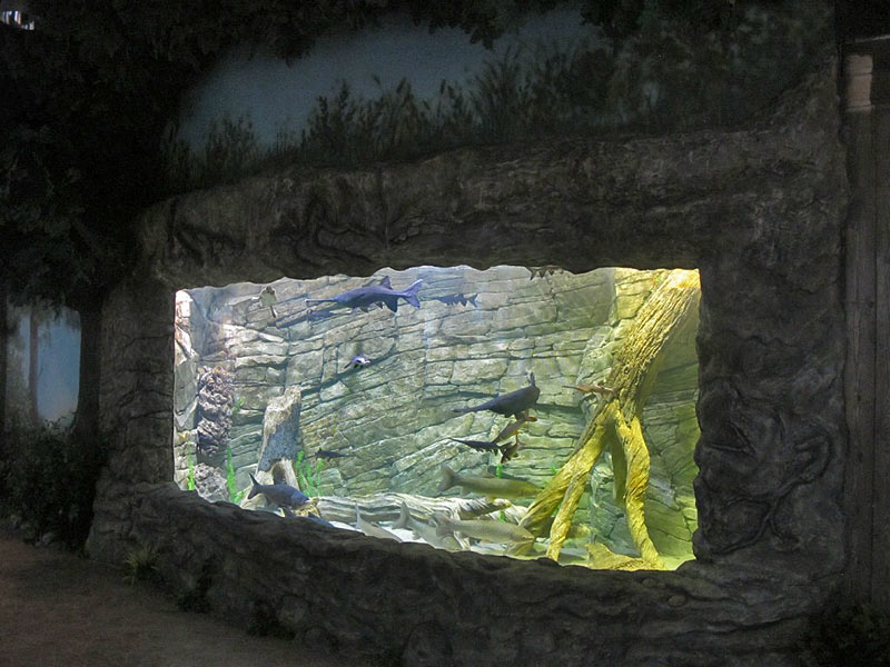 Декоративная отделка аквариума имитирует естественные места обитания рыб