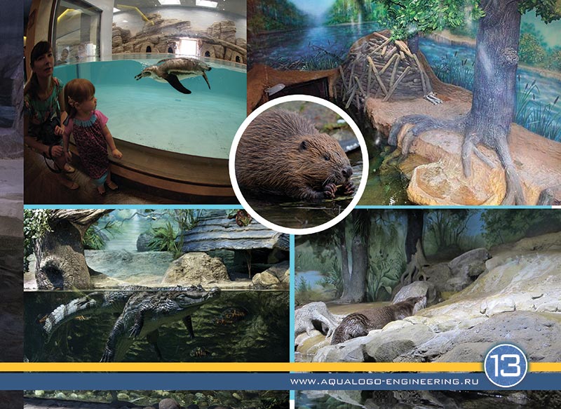 We are experts in providing living conditions for aquatic animals such as otters, penguins, beavers, seals, etc.