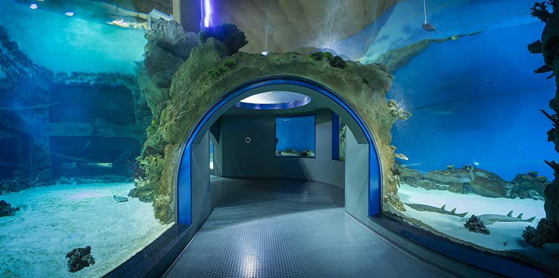 The tunnel of the main sea aquarium  