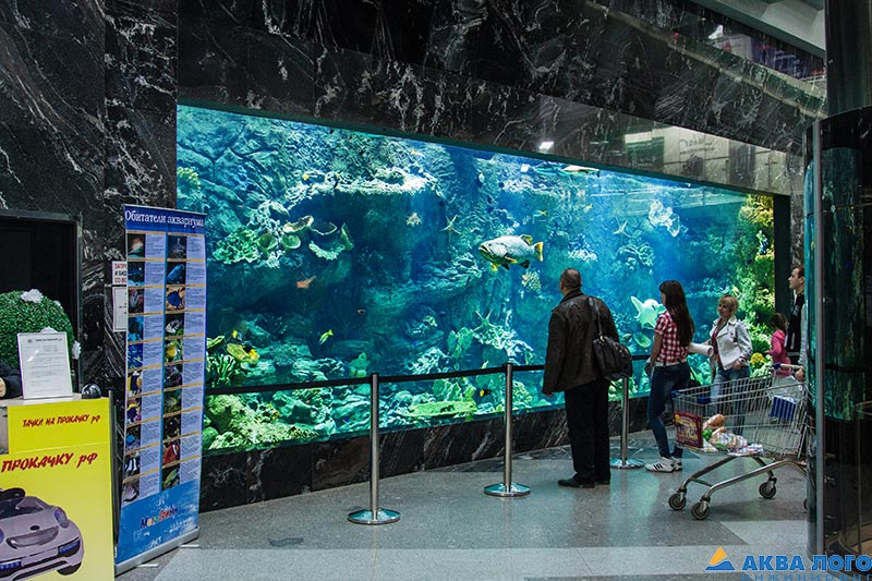 Этот аквариум построен Аква Лого инжиниринг для ТРЦ МегаГРИНН в Белгороде