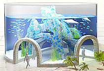 Aquarium-Big.jpg