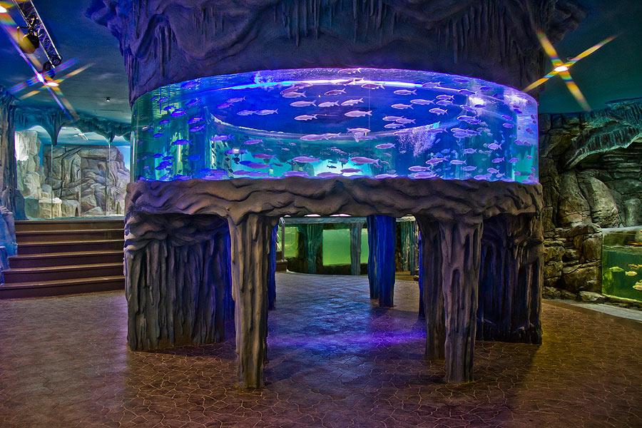 В экспозиции "Полярные воды" визуально доминирует уникальный для России и СНГ кольцевой аквариум