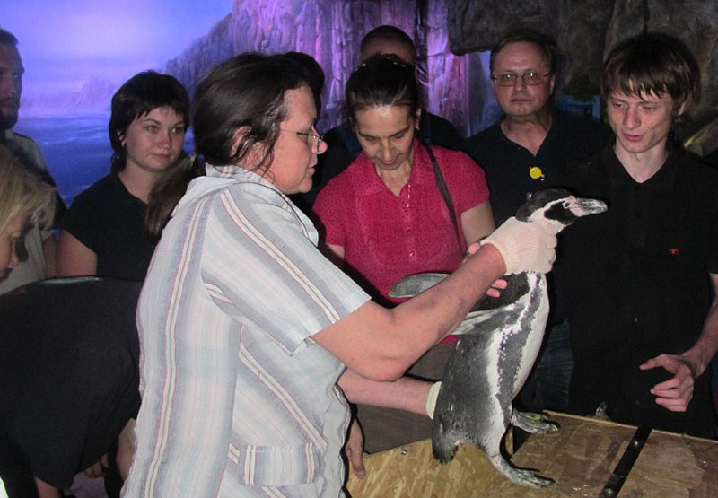 Ольга Роздина обучает сотрудников обращению с птицами
