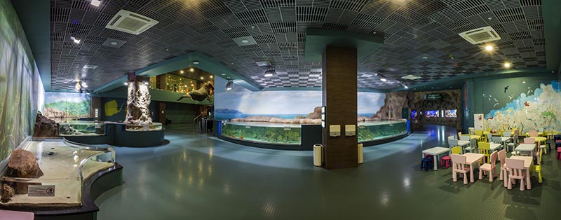 A panoramic view of the exposition "Mangroves and Coastal Shallow Waters"