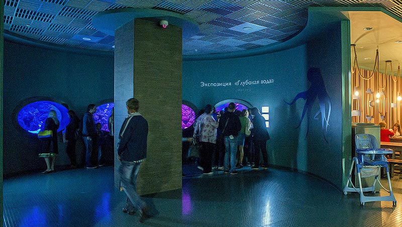 The exposition "Deep Water"