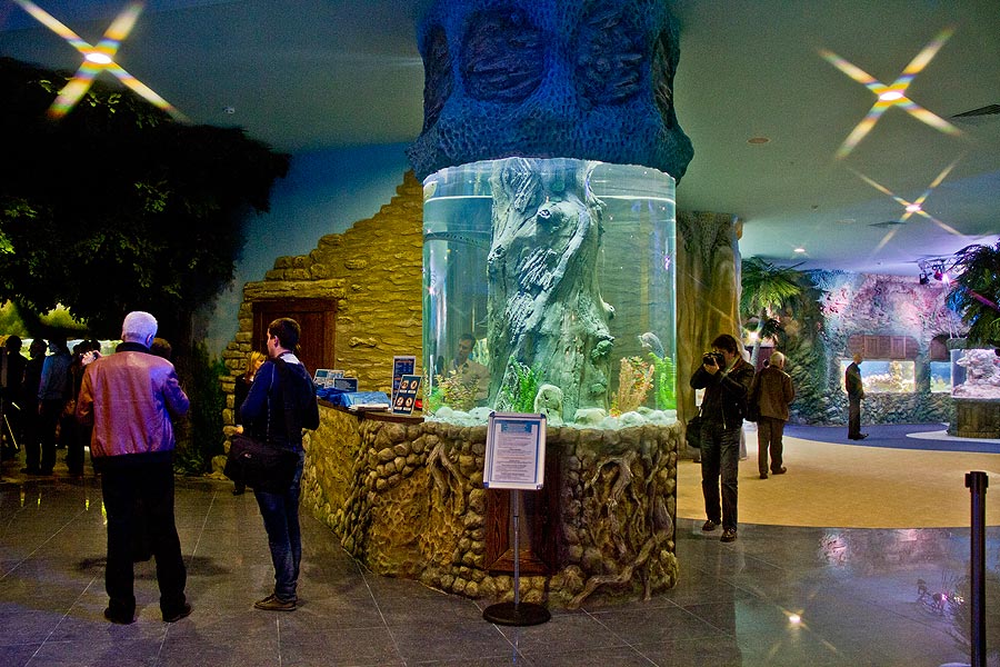 Цилиндрический аквариум в начале экспозиции "Леса и степи"
