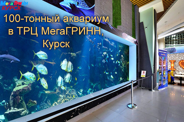 100-тонный публичный аквариум в ТРЦ МегаГРИНН, Курск