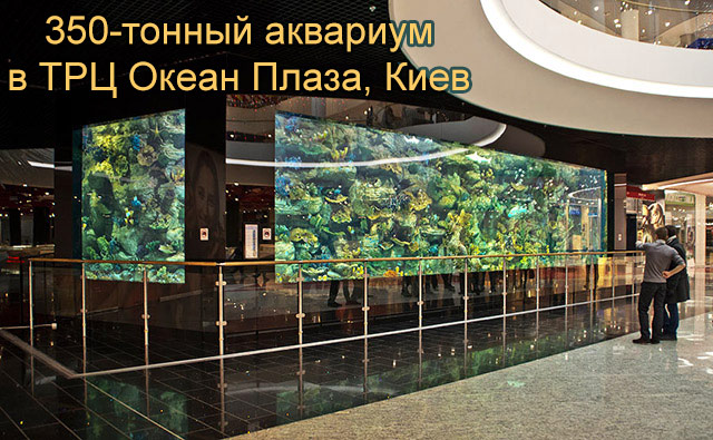 Самый большой в Восточной Европе 350-тонный публичный аквариум в ТРЦ Ocean Plaza, г. Киев