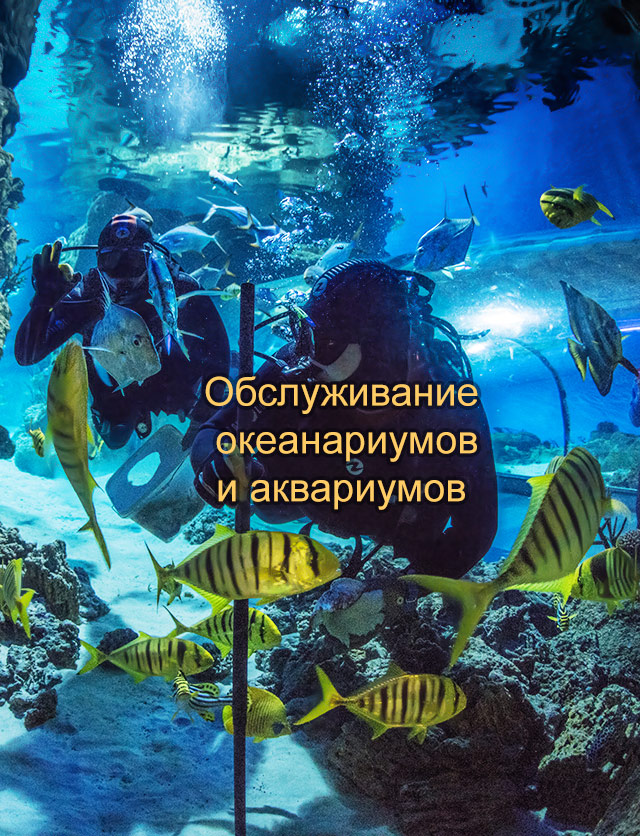 Аква Лого Инжиниринг обслуживает океанариумы в Москве и Когалыме, большие аквариумы в Курске, Белгороде, Киеве