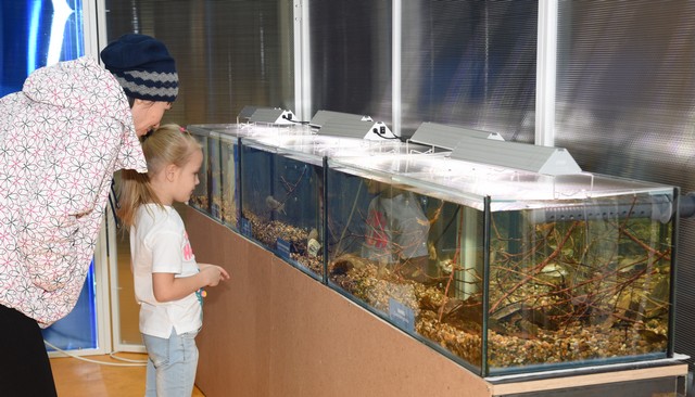 Выставочные аквариумы с сибирскими видами рыб