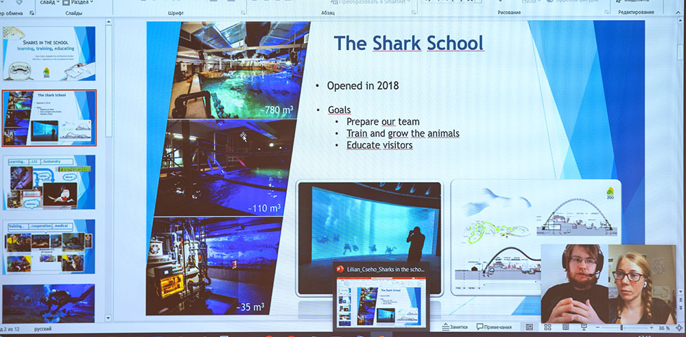 Lilian Cseho, главный аквариумист Будапештского зоо-ботанического сада с онлайн докладом "Школа акул - учимся, дрессируем, воспитываем"