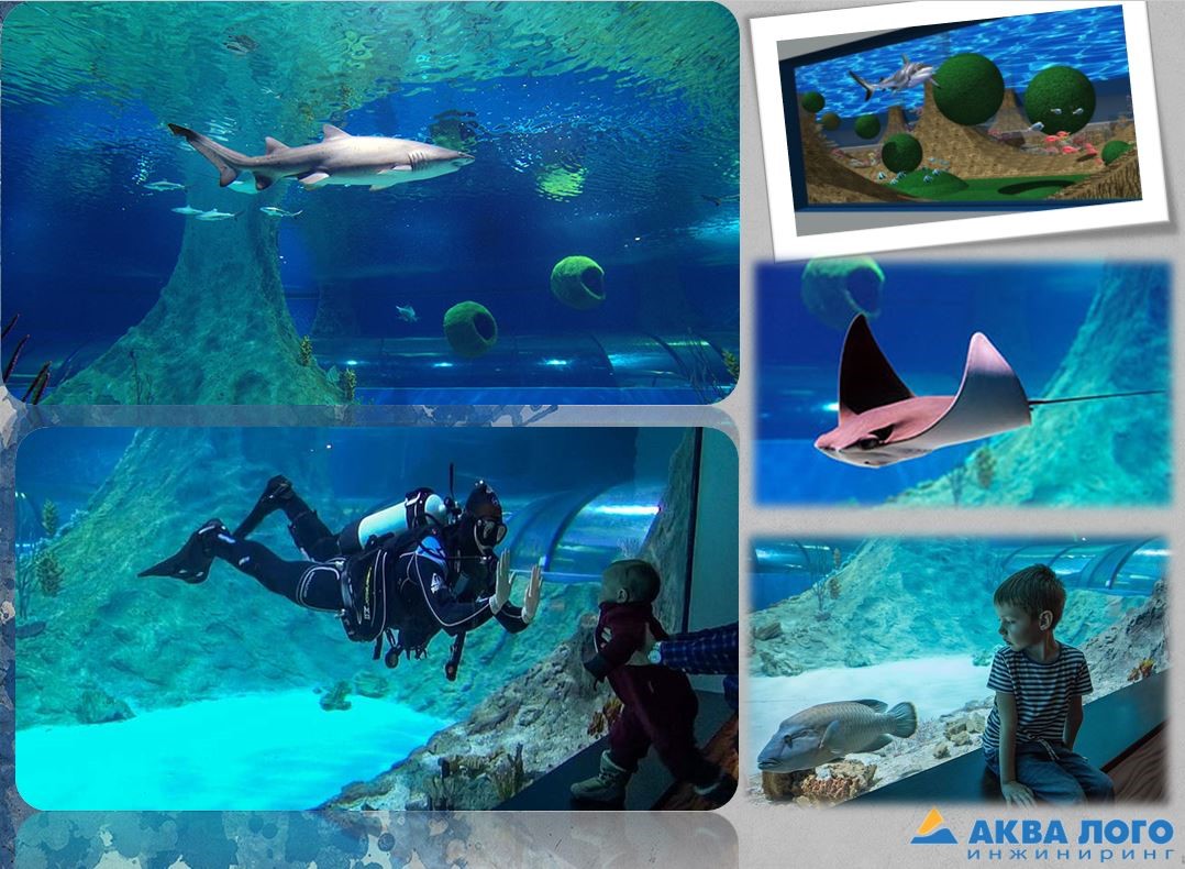 The main sea aquarium of the “Aquatika”