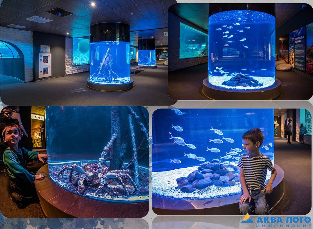 Two cylindrical aquariums in the “Coral reef” zone