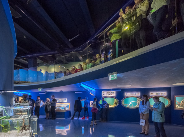 New fish and pinnipeds exhibit at Planet Neptune Oceanarium