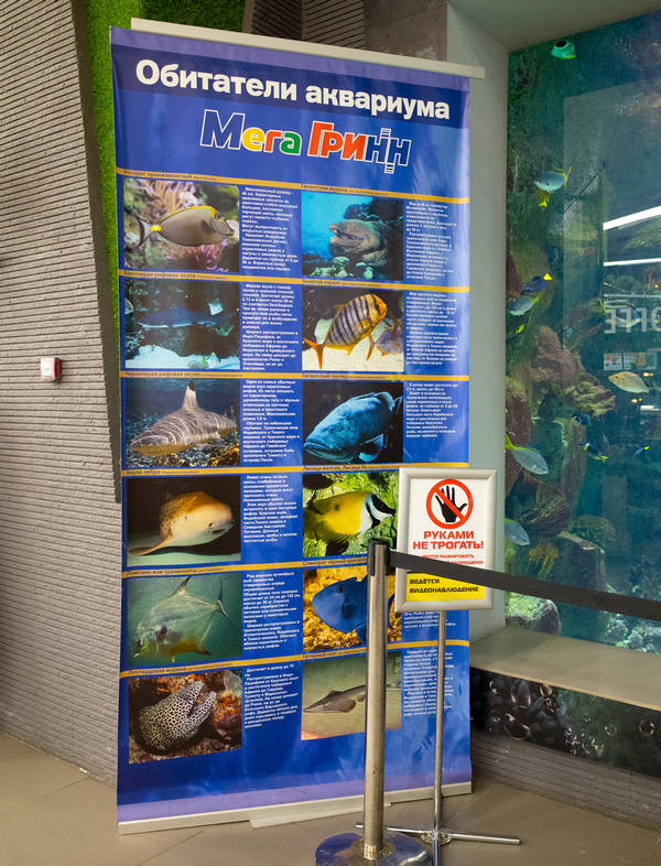 The inhabitants of the MegaGRINN aquarium