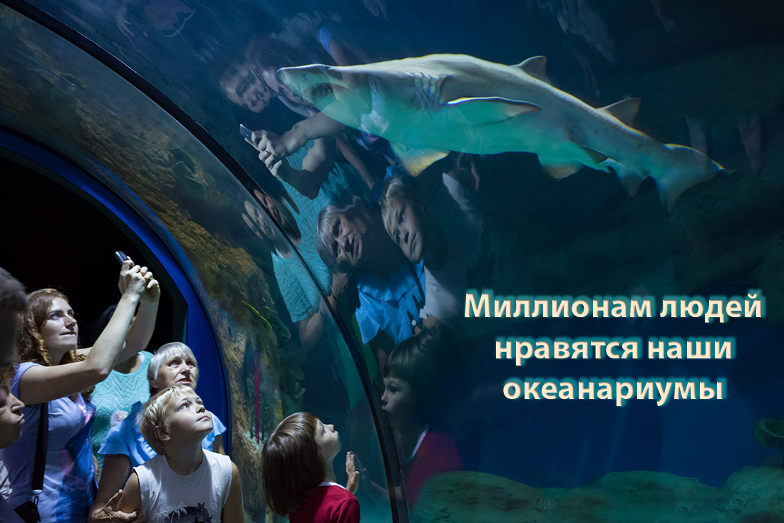 Билет в москвариум на вднх цена 2023. ВДНХ В Москве Москвариум. Парк ВДНХ океанариум. Москвариум чистые пруды. ВДНХ аквариумный парк.