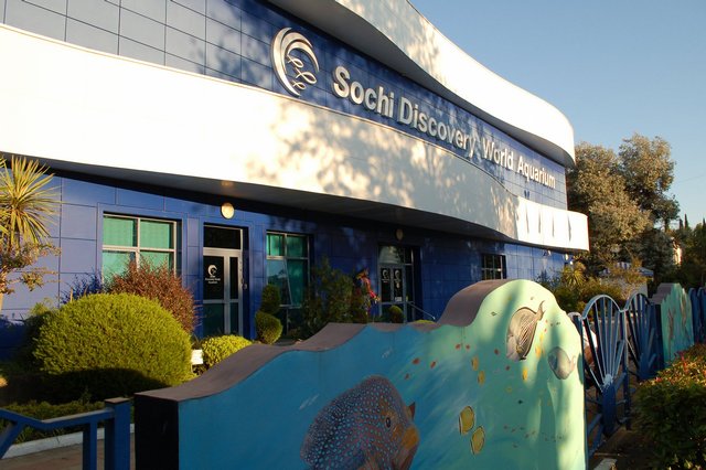 Посещение участниками конференции океанариума Sochi Discovery World 