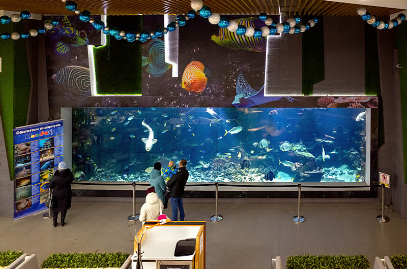 100-ton public aquariums in the citie of Kursk
