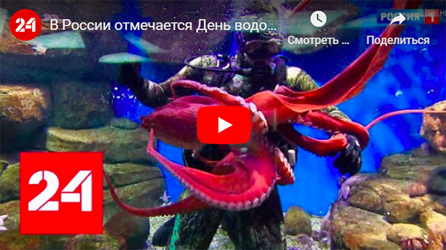 День водолаза