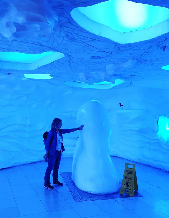 Самый удивительный  элемент океанариума – настоящий кусок льда в зале с пингвинами!