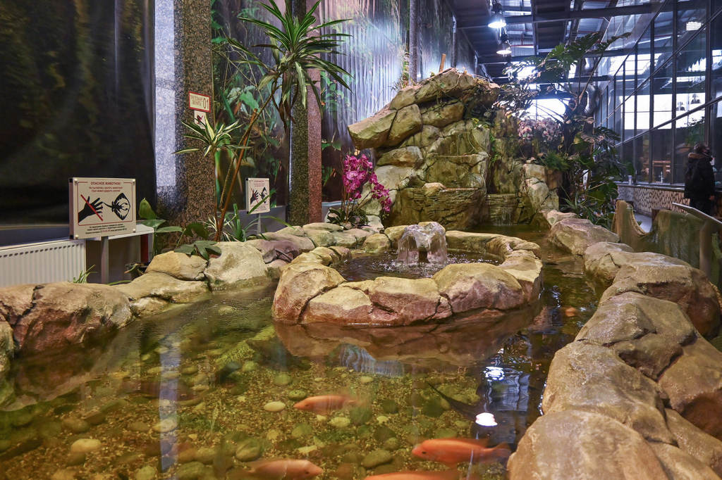 Водоём включает водопад и фонтан, декорирован искусственным камнем