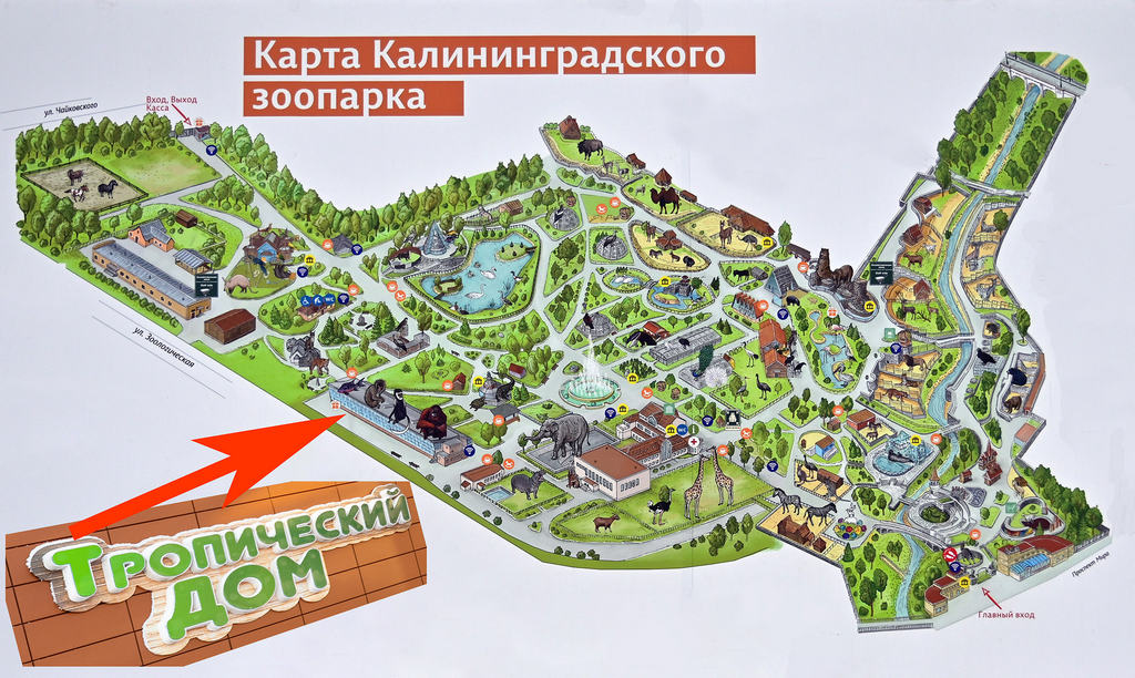 Карта Калининградского зоопарка