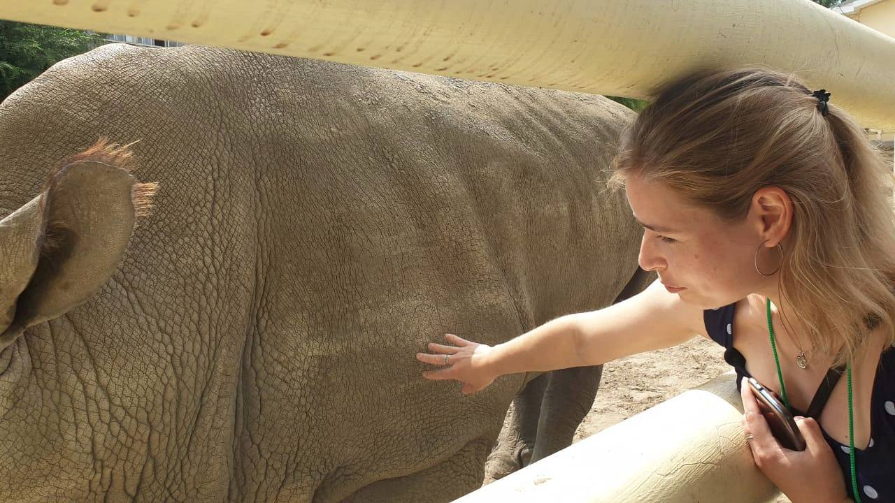 Носороги прибыли в Ростовский зоопарк из Израильского сафари парка Рамат-Ган