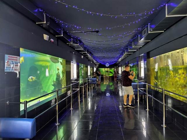 Галерея аквариумов