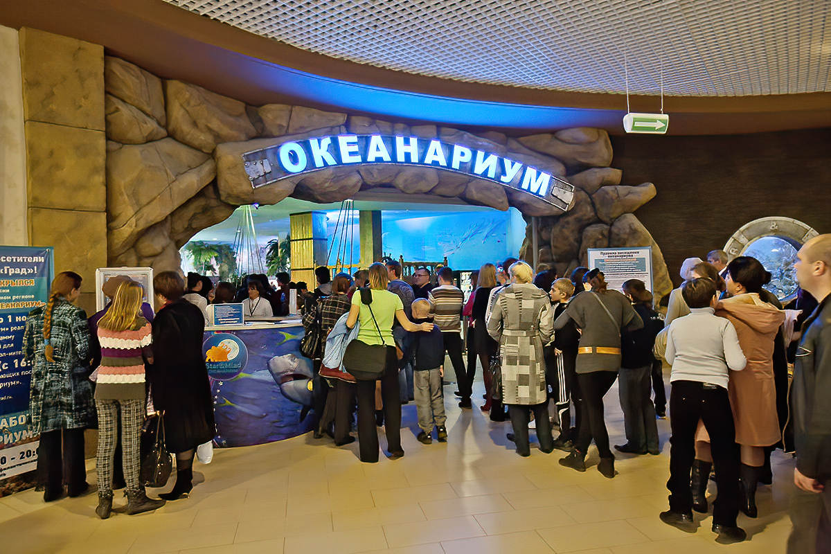 Вход в Воронежский океанариум