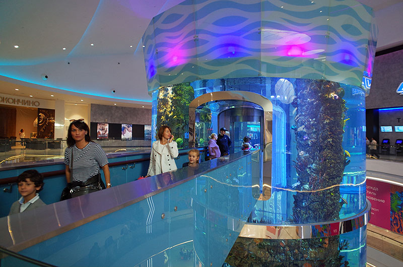 Из лифта восторженные путешественники выходят через аквариумную арку и мостик на 4-м этаже