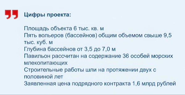 Цифры проекта