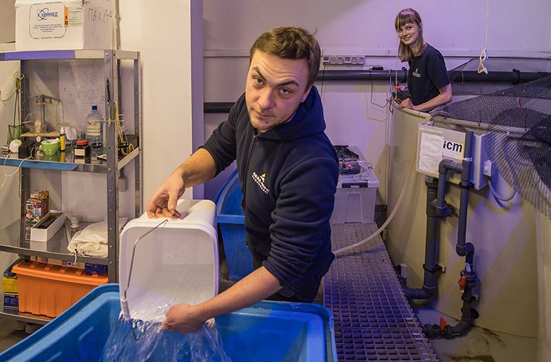 Ихтиолог Егор Цаплин в карантинном помещении готовит ванну для лечения рыбы