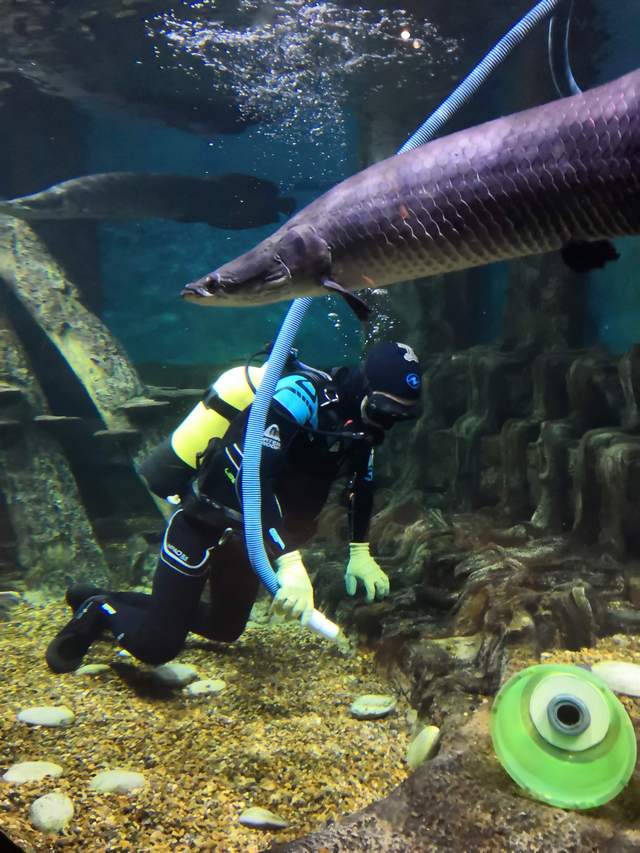 Underwater vacuum cleaner
