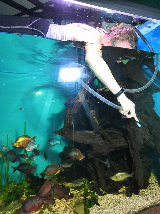 В стекле аквариума отражается прожектор, который помогает лучше видеть, что ещё не очищено
