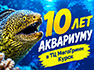 Приглашаем на 10‑летие 100‑тонного аквариума в ТЦ «МегаГринн», Курск