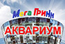 Three years to the aquarium of the MegaGRINN shopping mall in Kursk