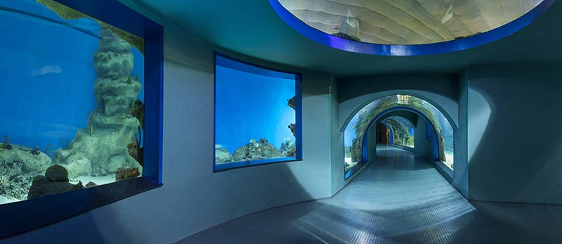 Туннель главного
морского аквариума