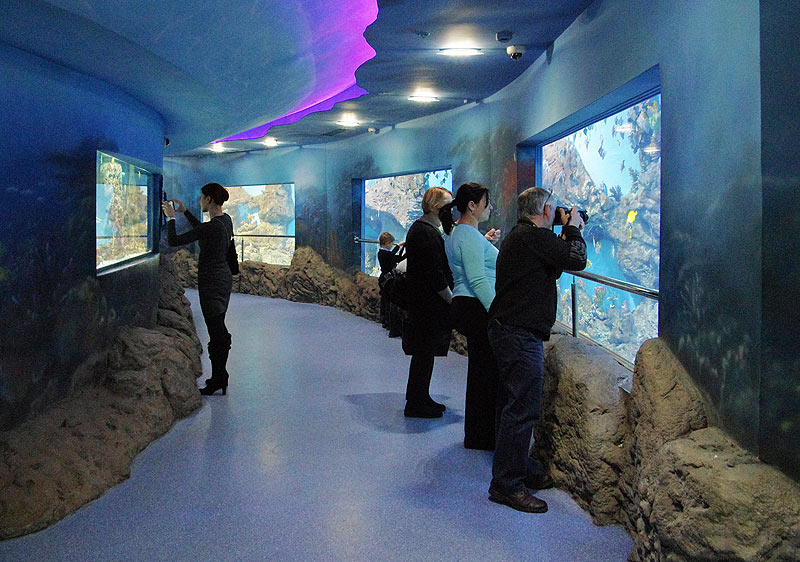The exposition zone "Lagoon"