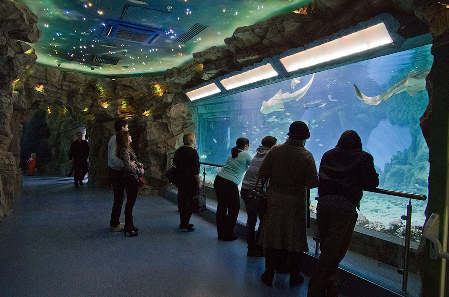 Большое окно главного аквариума океанариума РИО