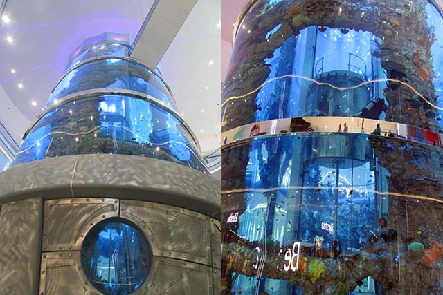 Слева - общий вид аквариума; справа - лифт поднимается внутри аквариума 