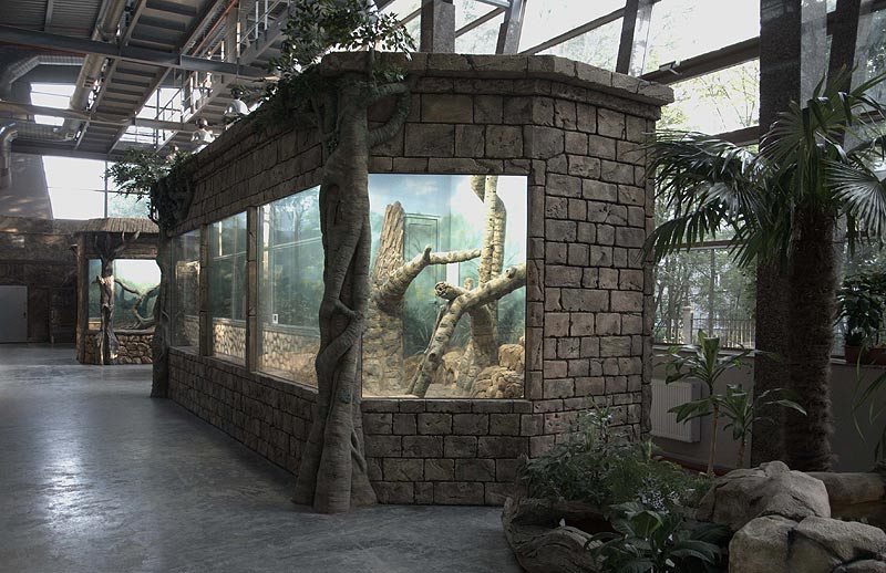 Обезьянник Калининградского зоопарка открыт к Дню города